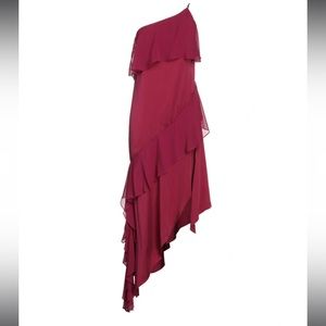 Haute Hippie Midi Dress in Raspberry